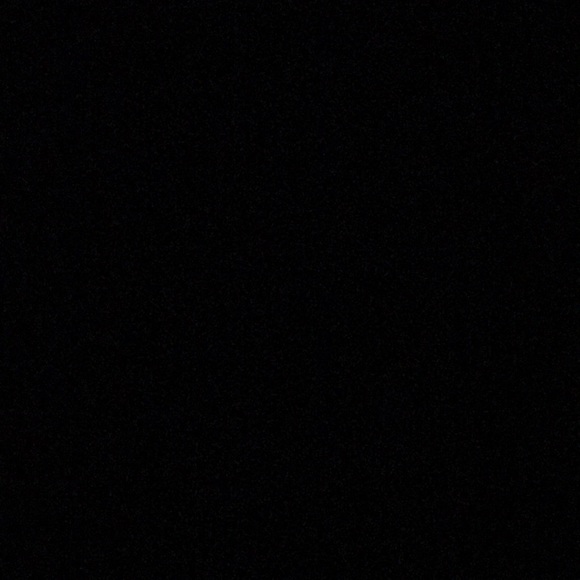 Meet your Posher, Bella - Picture 1 of 1